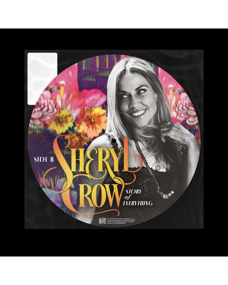 Sheryl Crow Story Of Everything (Picture Disc) Vinyl Record $4.35 Vinyl