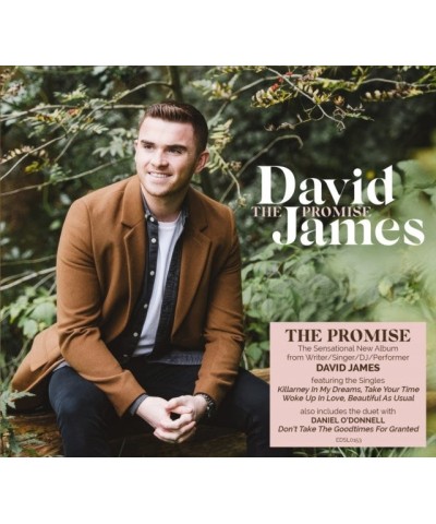 David Gray CD - The Promise $15.79 CD