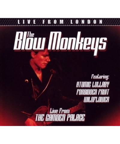 The Blow Monkeys LIVE FROM LONDON CD $18.50 CD
