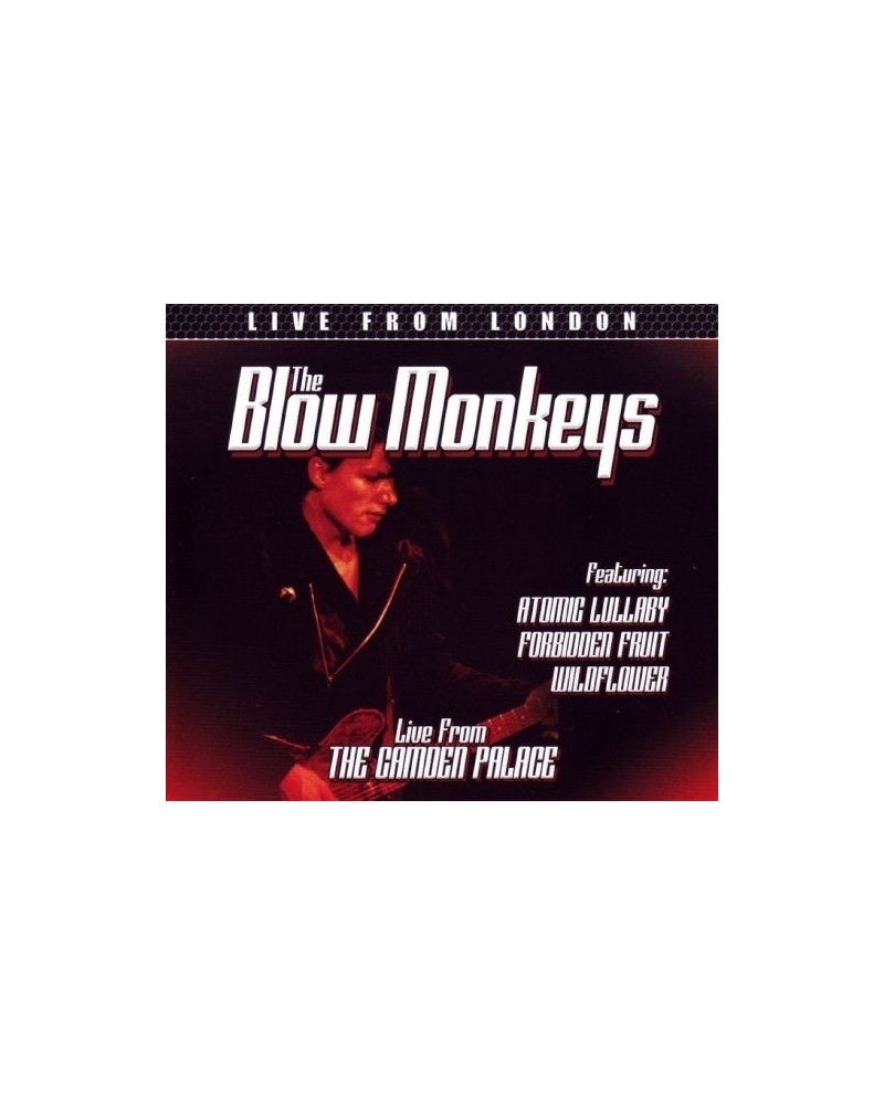 The Blow Monkeys LIVE FROM LONDON CD $18.50 CD